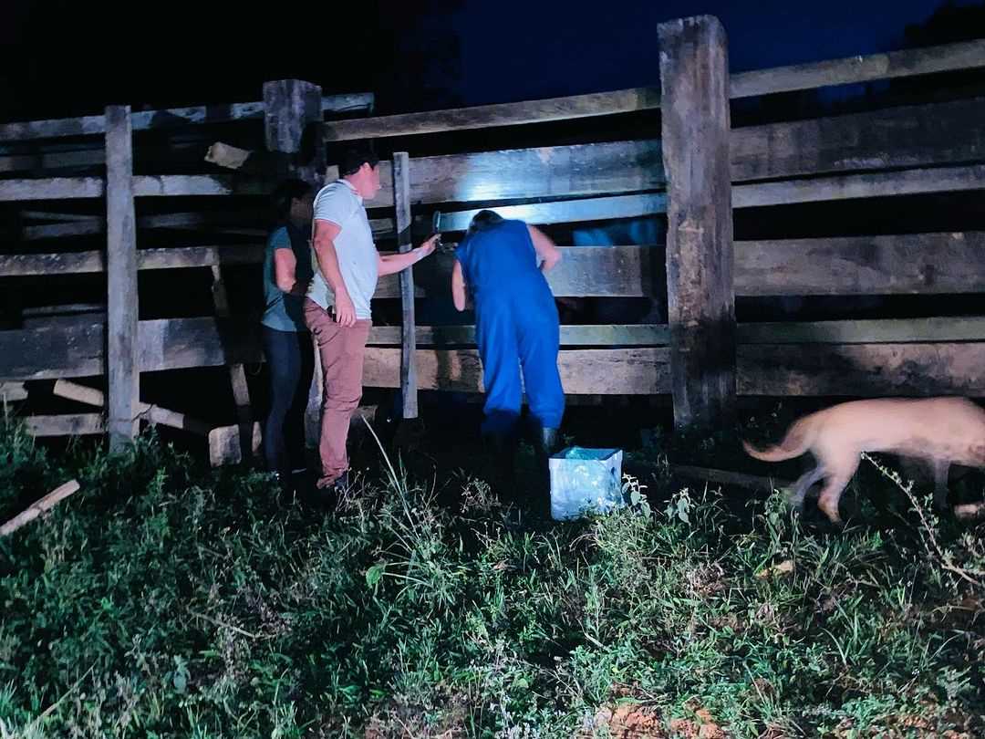 Camacã: Programa Mais Pecuária Brasil atende mais pecuaristas